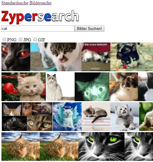 Screenshot der Bildersuche mit Katzenbildern
